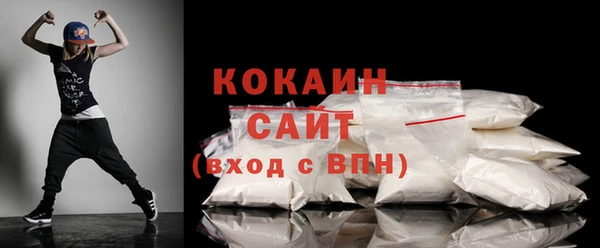 соль ск Абаза