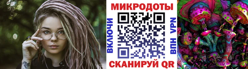 blacksprut ССЫЛКА  Тырныауз  Псилоцибиновые грибы прущие грибы 
