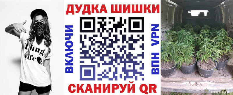 Конопля марихуана Тырныауз